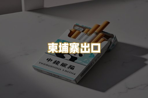 柬埔寨出口